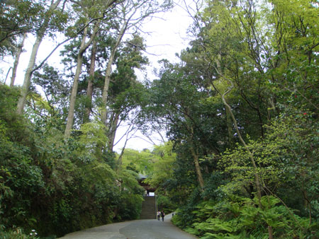 妙本寺の参道