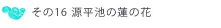 その１６ 源平池の蓮の花